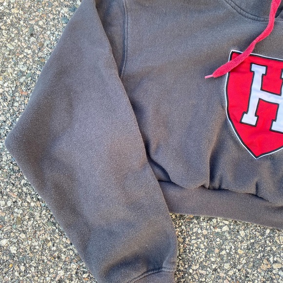 Harvard Cropped Sweatshirt - Picture 3 of 4